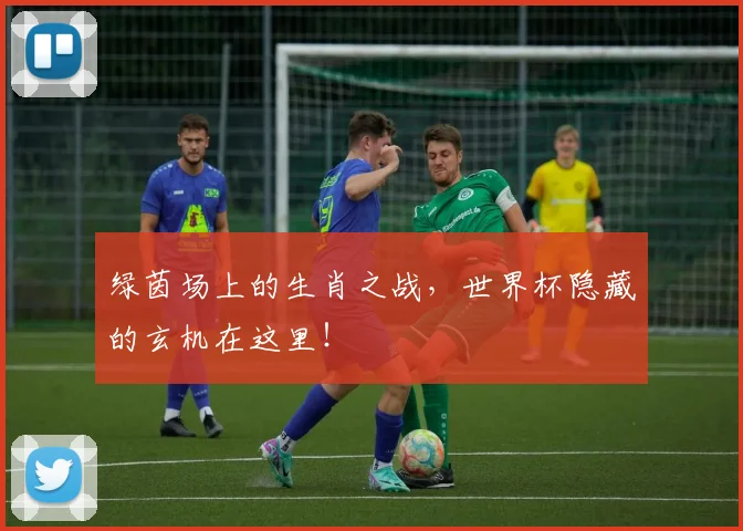 绿茵场上的生肖之战，世界杯隐藏的玄机在这里！