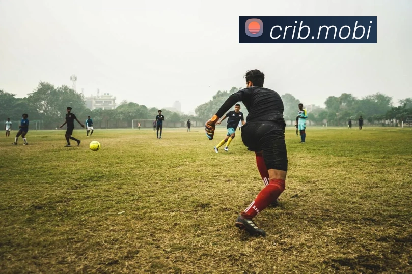 企业概况