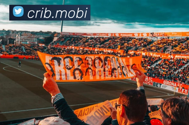 爱体育官网app下载APP 封面图